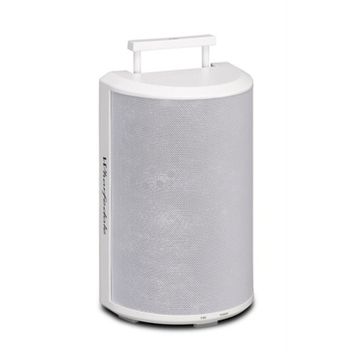 Wharfedale Tandem Speaker