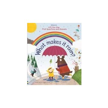 What Makes It Rain?-Usborne Publishing