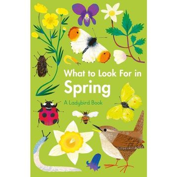 What To Look For In Spring - Ladybird