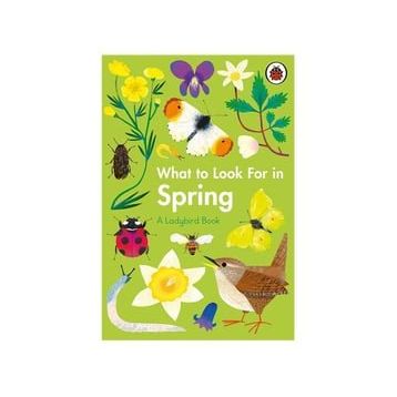 What To Look For In Spring - Ladybird