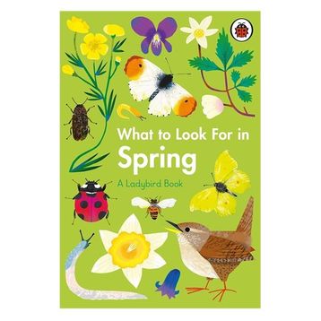 What To Look For In Spring - Ladybird