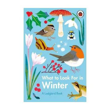 What To Look For In Winter - Ladybird