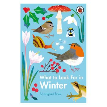 What To Look For In Winter - Ladybird