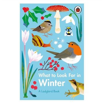 What To Look For In Winter - Ladybird