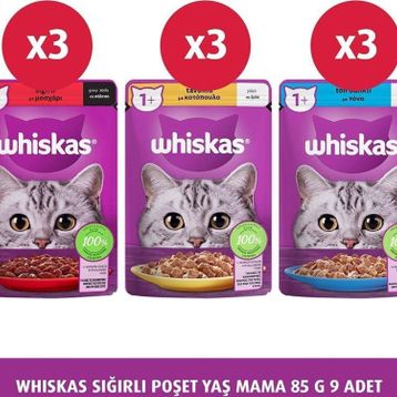 Whiskas 85 G 9X Sığırlı Yaş Kedi Maması