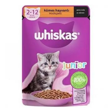 Whiskas Yavru Kümes Hayvanlı 85 Poşet Yaş Mama