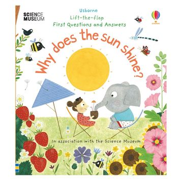 Why Does The Sun Shine?-Usborne Publishing