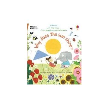 Why Does The Sun Shine?-Usborne Publishing