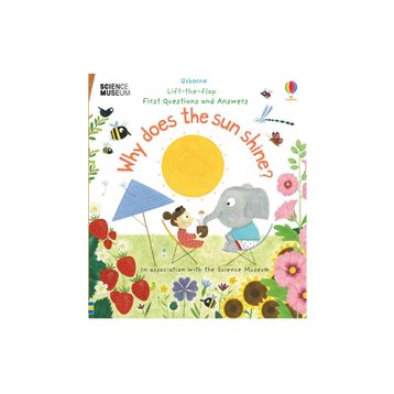 Why Does The Sun Shine?-Usborne Publishing
