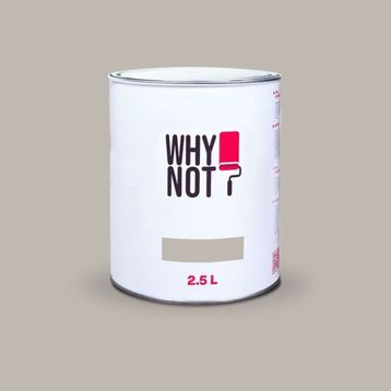 Whynot? Balanced Beige 2.5 lt İç Cephe Duvar Boyası