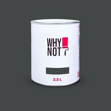 Whynot? Blackish 2.5 lt İç Cephe Duvar Boyası