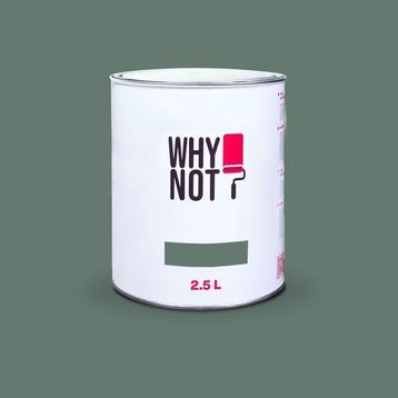 Whynot? Focus On 2.5 lt İç Cephe Duvar Boyası