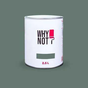 Whynot? Focus On 2.5 lt İç Cephe Duvar Boyası