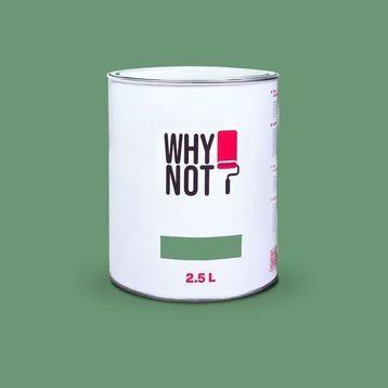 Whynot? Green Energy 2.5 lt İç Cephe Duvar Boyası