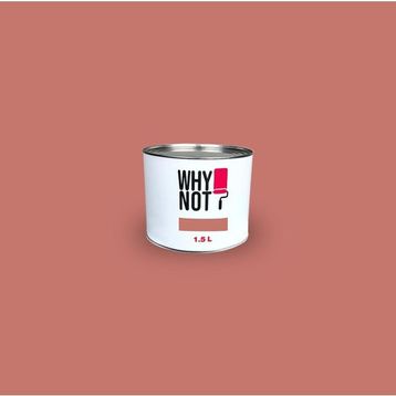 Whynot? Hopeful 1.5 lt İç Cephe Duvar Boyası