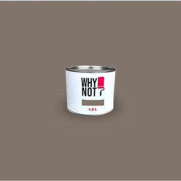 Whynot? Lungo 1.5 lt İç Cephe Duvar Boyası