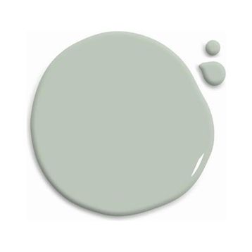 Whynot? Olive Grove 2.5 lt İç Cephe Duvar Boyası