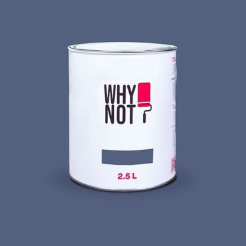 Whynot? Orion 2.5 lt İç Cephe Duvar Boyası