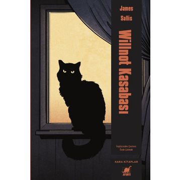 Willnot Kasabası - James Sallis