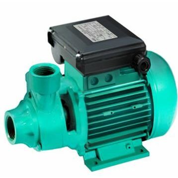 Wilo PV 30 M 0.5 HP Periferik Pompa
