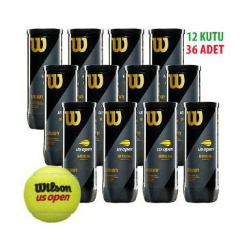 Wilson WRT106200 Tenis Topu