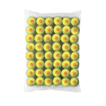 Wilson WRT13730B 48'li Başlangıç Tenis Topu