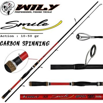Wily Smile 240 cm 10-50 gr Spin Kamış