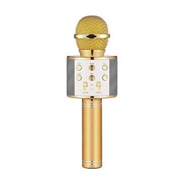 Winex Bluetooth UsbA TF Sd Kart 3.5 mm Aux Girişli Gold Karaoke Mikrofonu