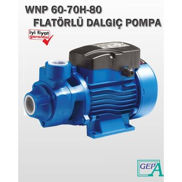 Winpo WNP 80 Preferikal Pompa