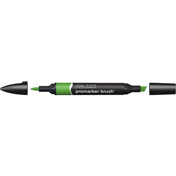 Winsor Newton 068 Forest Green Brusmarker