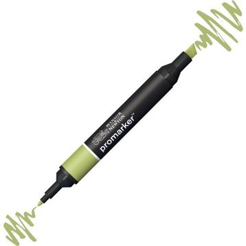 Winsor & Newton 5796591 Pesto Y923 Promarker