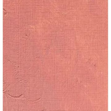 Winsor Newton Flesh Tint 257 20 37 ml Yağlı Boya