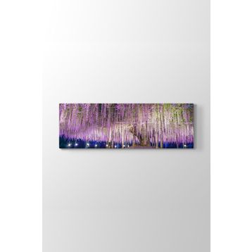 Wisteria Ağacı Tablosu
