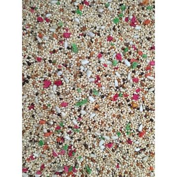 Woddy 1 kg Karışık Muhabbet Kuşu Yemi