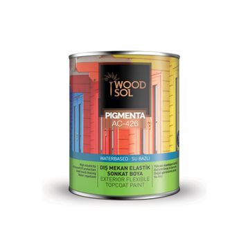 WOODSOL 0.75 lt Jel Vernik