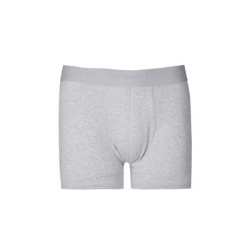 Wrangler W231762035 Gri Erkek Boxer