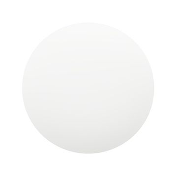 Xiaomi Mi Smart Ceiling Light Beyaz 450 mm Led Aydınlatma
