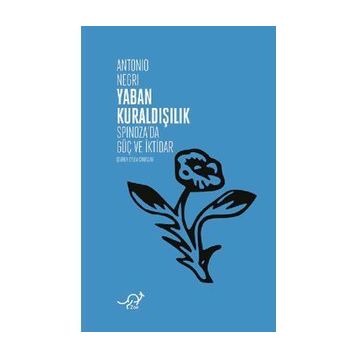 YABAN KURALDIŞILIK SPINOZA METAFİZİĞİNİN VE SIYASETININ GÜCÜ - ANTONIO NEGRI