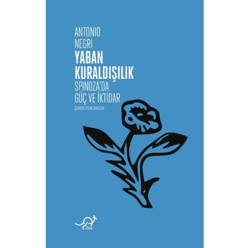 YABAN KURALDIŞILIK SPINOZA METAFİZİĞİNİN VE SIYASETININ GÜCÜ - ANTONIO NEGRI