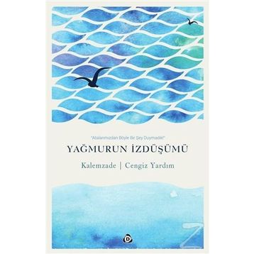 Yağmurun İzdüşümü - Cengiz Yardım