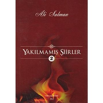 YAKILMAMIŞ ŞIIRLER 2 - ALI SALMAN