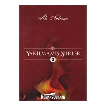 YAKILMAMIŞ ŞIIRLER 2 - ALI SALMAN