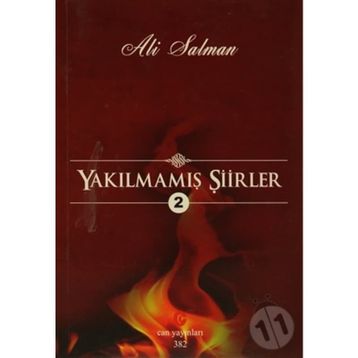 YAKILMAMIŞ ŞIIRLER 2 - ALI SALMAN