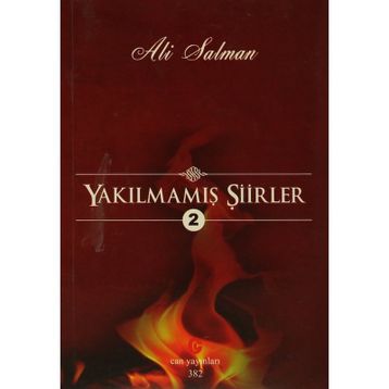 YAKILMAMIŞ ŞIIRLER 2 - ALI SALMAN
