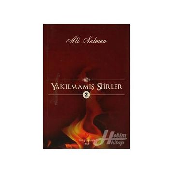 YAKILMAMIŞ ŞIIRLER 2 - ALI SALMAN