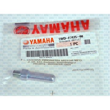 Yamaha YZF R25 Ön Basamak Civatası