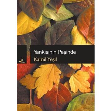 Yankısının Peşinde - Kamil Yeşil