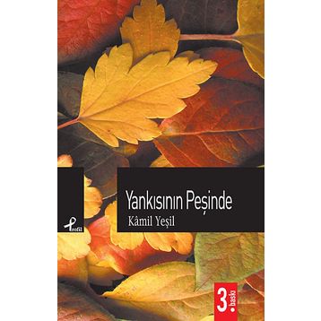 Yankısının Peşinde - Kamil Yeşil