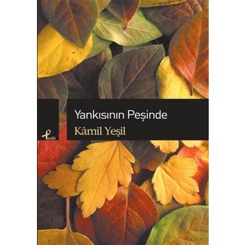 Yankısının Peşinde - Kamil Yeşil