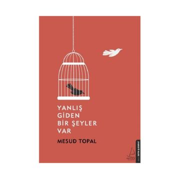 Yanlış Giden Bir Şeyler Var - Mesud Topal